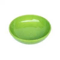 Melamine Chip and Dip