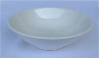 Melamine Bowl in Freezer